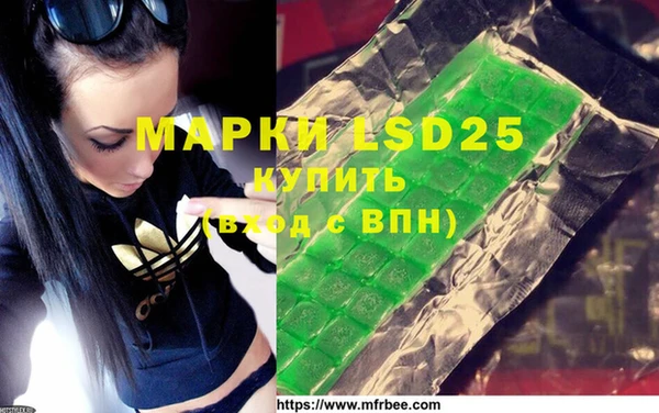 ГАЛЛЮЦИНОГЕННЫЕ ГРИБЫ Беломорск