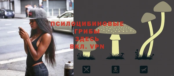ГАЛЛЮЦИНОГЕННЫЕ ГРИБЫ Беломорск