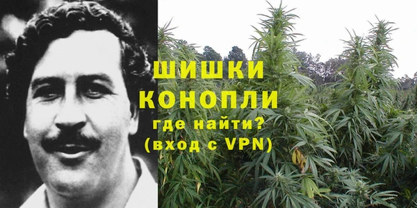 кокаин Белокуриха