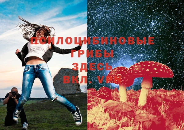 СК Покачи