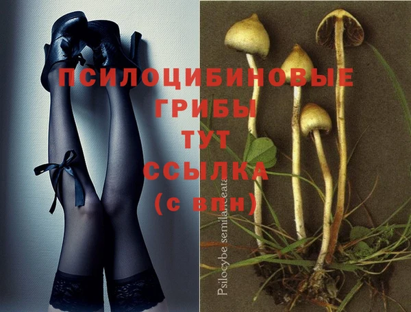 кокаин Белокуриха